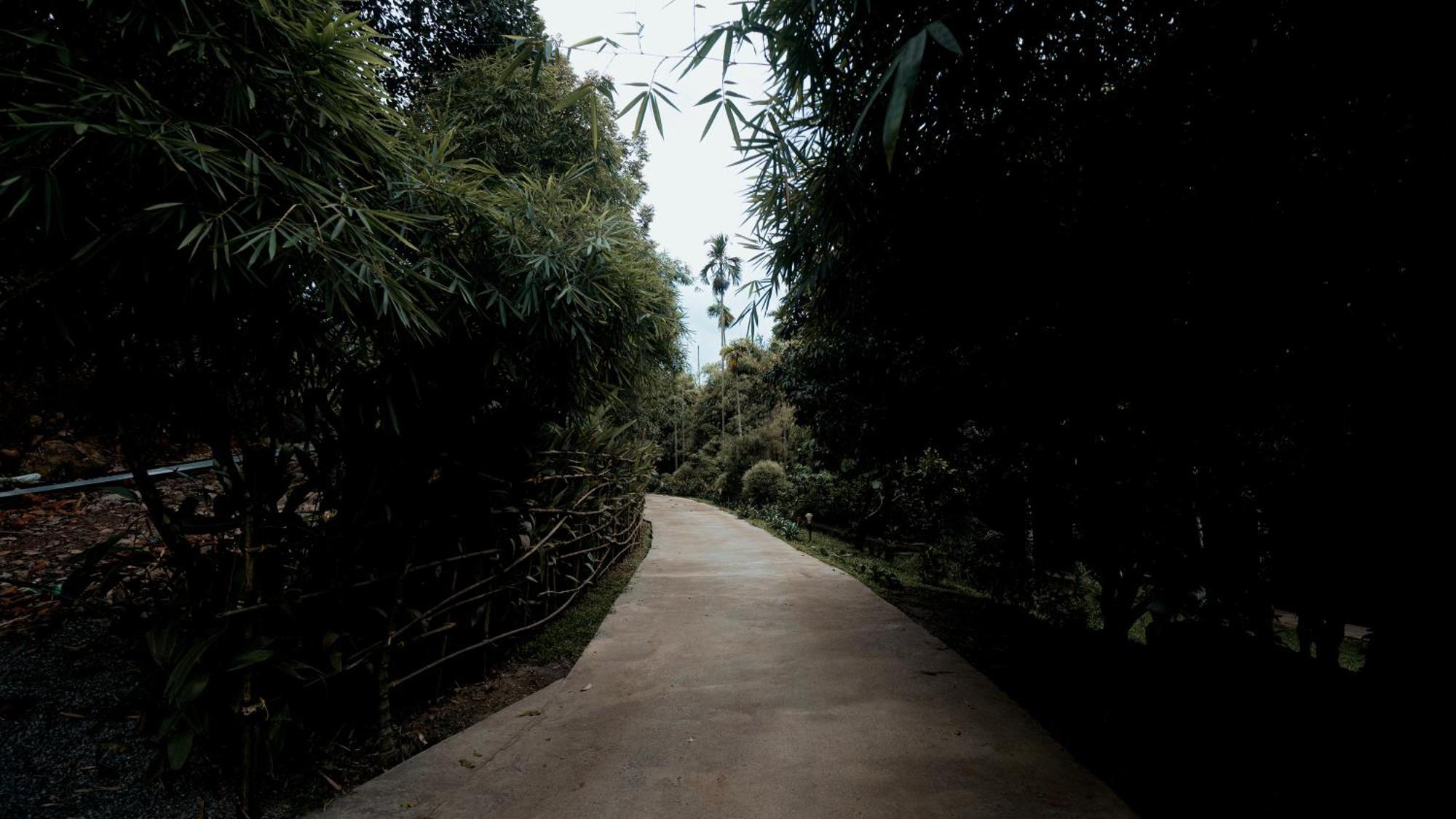 Vythiri Holiday Resort, Wayanad Extérieur photo