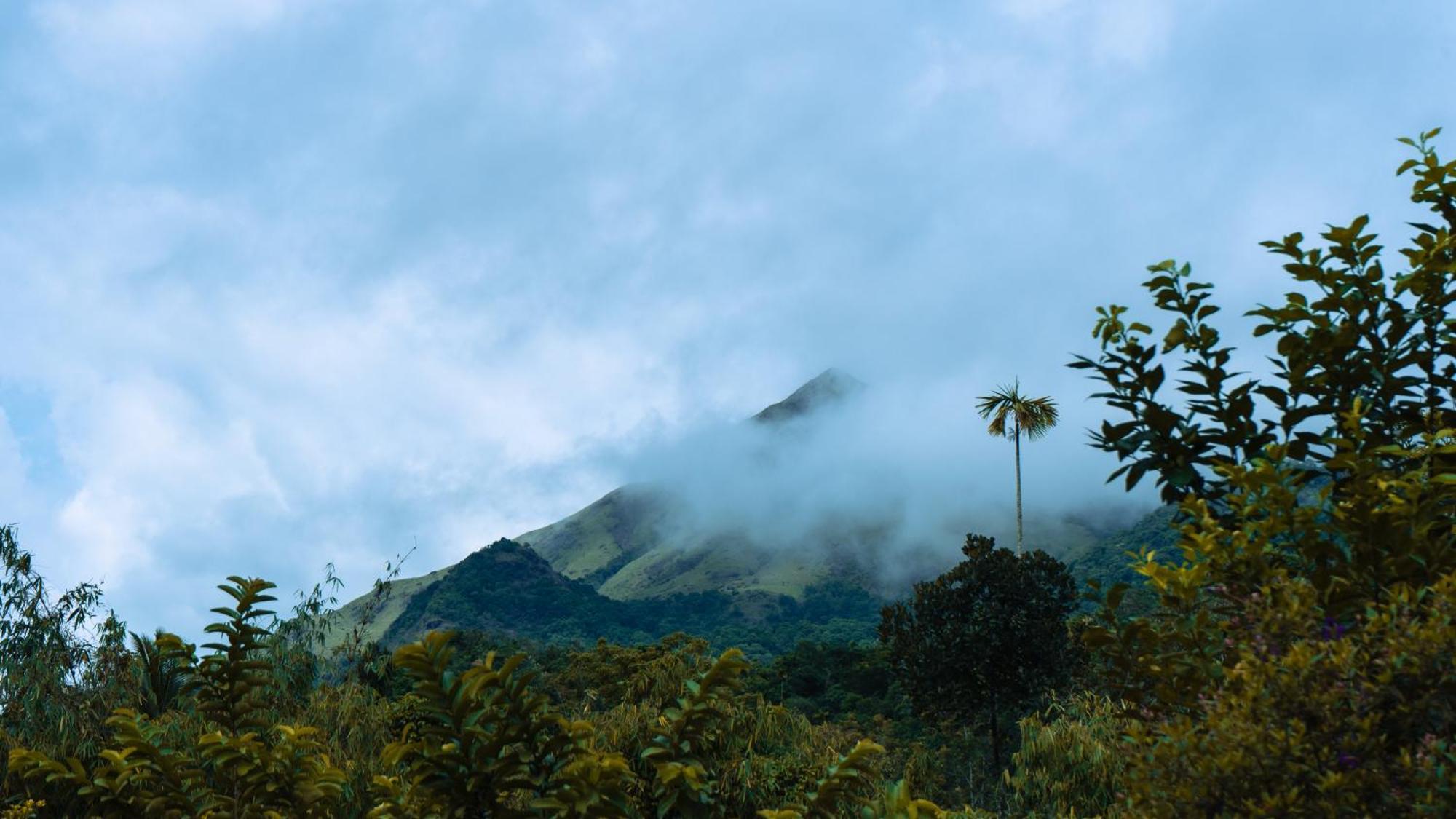 Vythiri Holiday Resort, Wayanad Extérieur photo