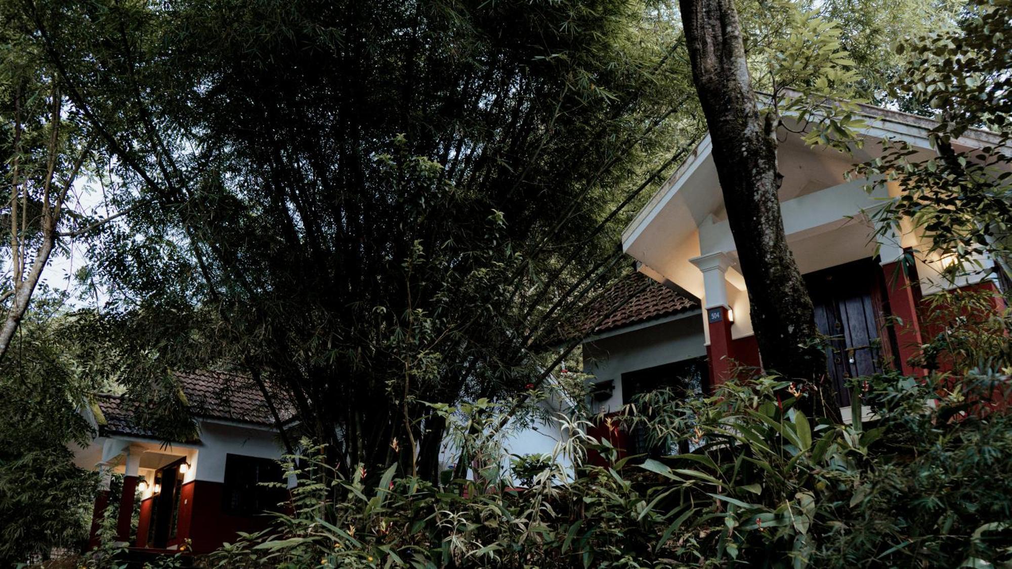 Vythiri Holiday Resort, Wayanad Extérieur photo